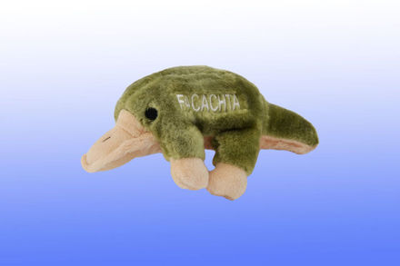 Picture of #915 Facachta The Platypus