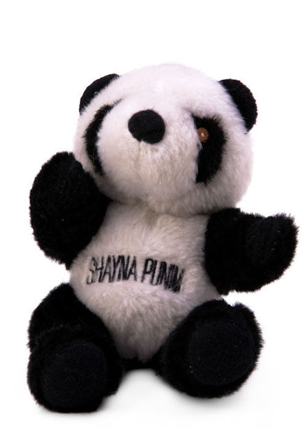 Picture of #904 Shayna Punin   - Panda